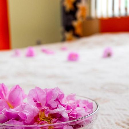 Family Hotel Kavrakovi 파벨 반야 외부 사진