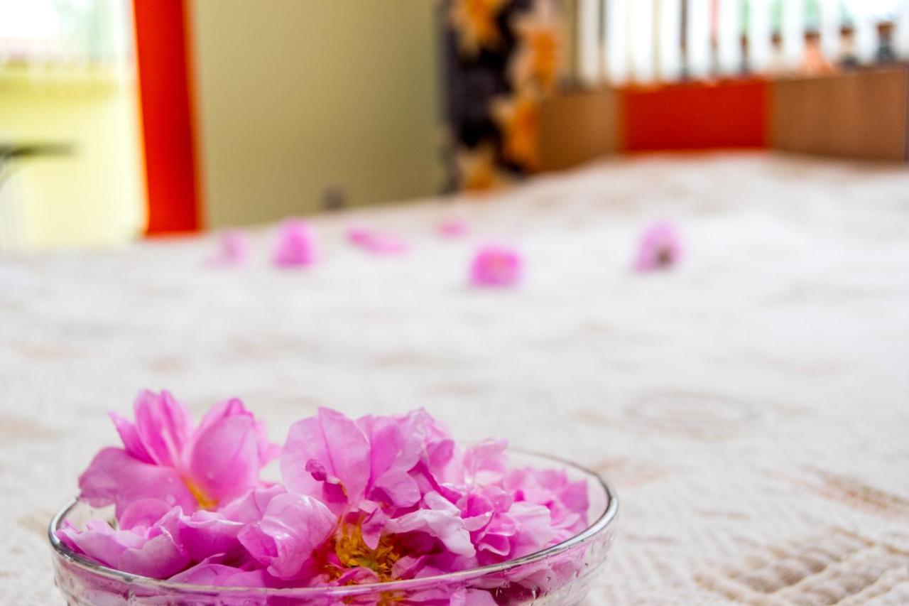 Family Hotel Kavrakovi 파벨 반야 외부 사진